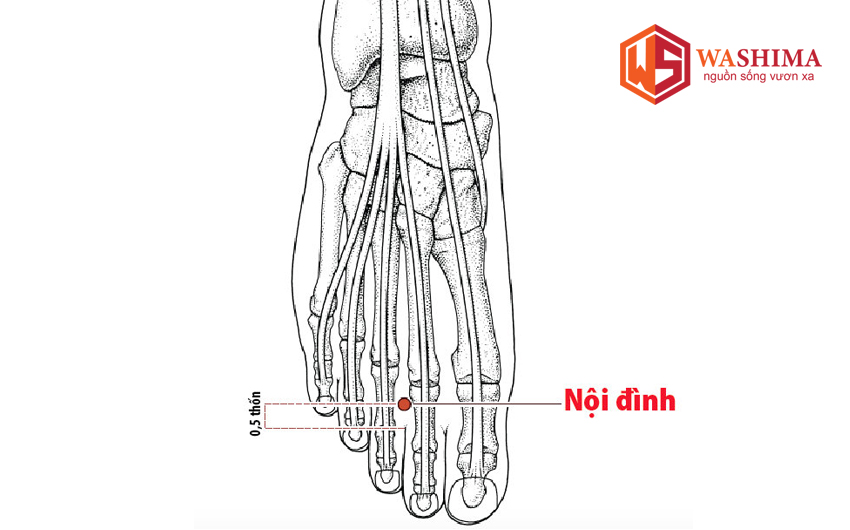 Huyệt nội đình là gì?