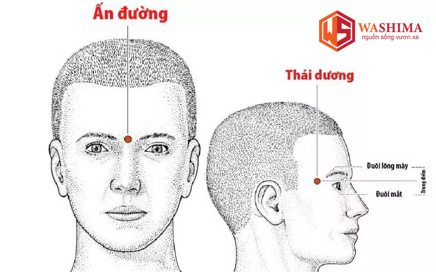 Huyệt thái dương nằm ở vị trí nào trên cơ thể
