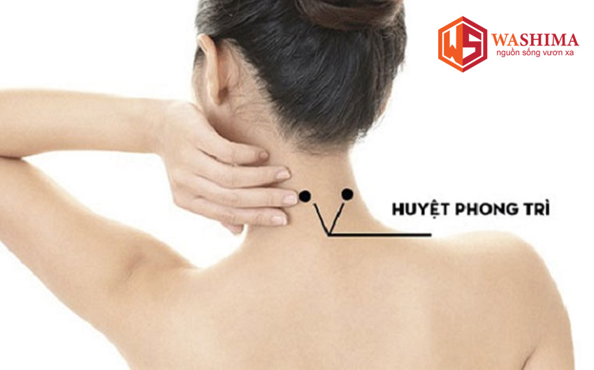 vị trí huyệt phong trì nằm ở gáy sát với chân tóc